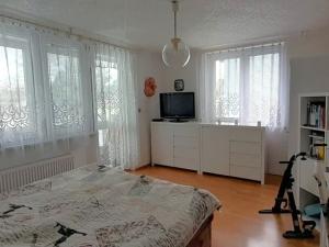 Prodej chalupy, Břidličná, U hřiště, 150 m2