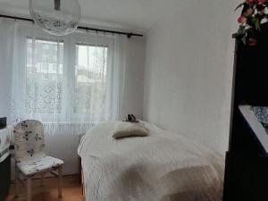 Prodej chalupy, Břidličná, U hřiště, 150 m2