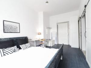 Pronájem bytu 1+kk, Praha - Vinohrady, Slezská, 26 m2