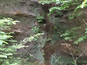 Prodej chaty, Kunratice - Studený, 80 m2