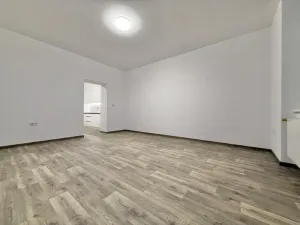 Pronájem bytu 1+1, Opava - Předměstí, Hviezdoslavova, 55 m2