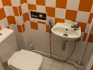 Pronájem bytu 3+kk, Praha - Vinohrady, Mánesova, 90 m2