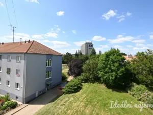 Pronájem bytu 1+1, Brno - Řečkovice, Sibiřská, 29 m2