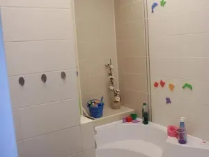 Pronájem bytu 3+1, Litvínov, Tylova, 64 m2
