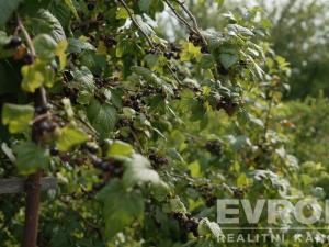 Prodej chaty, Ždírec, č.ev., 84 m2