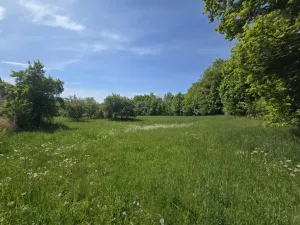 Prodej pozemku pro bydlení, Maršovice, Maršovice, 970 m2