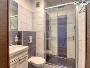 Pronájem bytu 1+kk, Rožnov pod Radhoštěm, Meziříčská, 27 m2