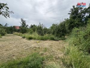 Prodej zahrady, Podbořany - Buškovice, 351 m2