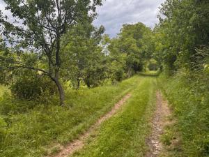 Prodej pozemku pro bydlení, Tučapy, 1068 m2
