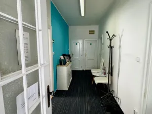 Prodej vily, Litoměřice - Předměstí, Neumannova, 260 m2