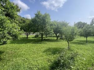 Prodej pozemku pro bydlení, Lysice, 809 m2