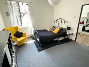Prodej bytu 1+1, Tábor, Prokopova, 37 m2