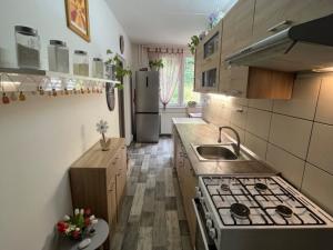 Prodej bytu 2+1, Nejdek, Rolavská, 60 m2