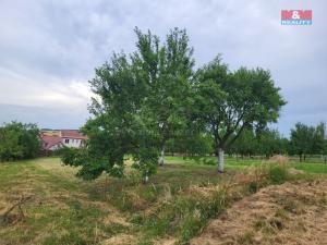 Prodej zahrady, Vlčnov, 600 m2