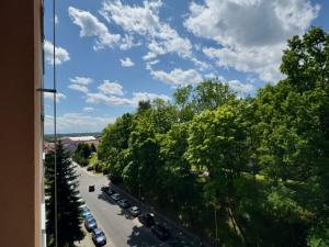 Pronájem bytu 2+kk, Česká Lípa, Havlíčkova, 41 m2