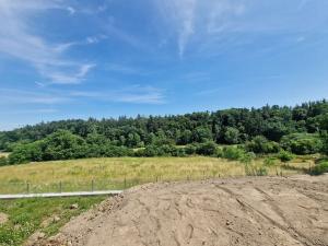 Prodej pozemku pro bydlení, Vyšehořovice, 919 m2