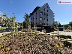 Prodej bytu 1+kk, Harrachov - Nový Svět, 31 m2
