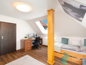 Prodej bytu 4+kk, České Budějovice, Dělnická, 128 m2