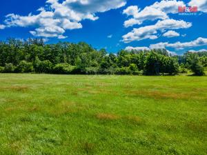 Prodej louky, Nové Mitrovice, 5551 m2