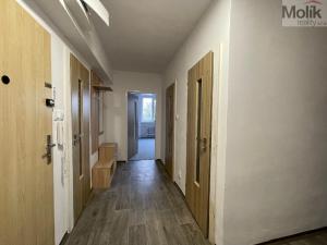 Pronájem bytu 3+kk, Litvínov - Horní Litvínov, U Zámeckého parku, 58 m2