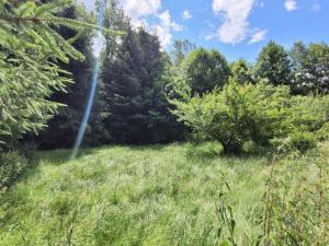 Prodej pozemku pro bydlení, Pacov, Vejvarka, 1320 m2