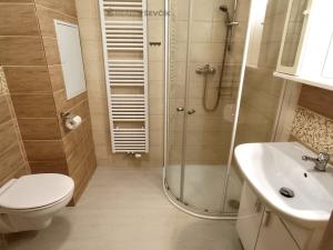 Pronájem bytu 2+kk, Lišov, Čechova, 56 m2