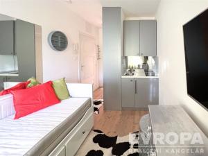Prodej bytu 1+kk, Praha - Smíchov, U Pernikářky, 13 m2