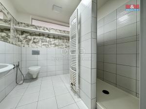 Pronájem bytu 1+kk, Chlumec nad Cidlinou - Chlumec nad Cidlinou IV, Rooseveltova, 35 m2