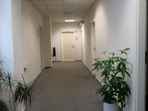 Pronájem kanceláře, Plzeň, náměstí Republiky, 34 m2