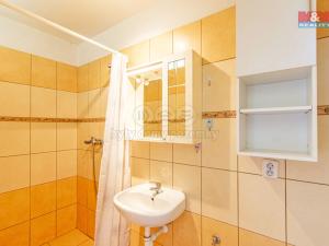 Prodej chalupy, Brantice - Radim, 160 m2