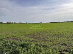 Prodej pole, Brno - Tuřany, 5446 m2