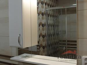 Pronájem bytu 1+1, Opava - Kateřinky, Holasická, 35 m2