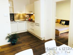 Pronájem bytu 2+kk, Praha, Bílkova, 37 m2