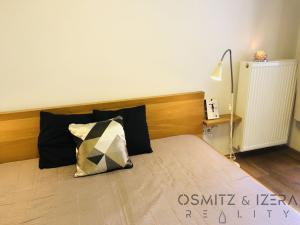 Pronájem bytu 2+kk, Praha, Bílkova, 37 m2