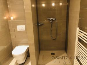 Pronájem bytu 2+kk, Praha, Bílkova, 37 m2