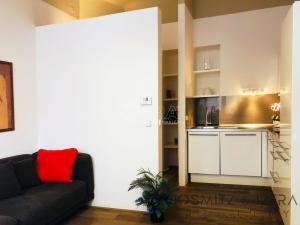 Pronájem bytu 2+kk, Praha, Bílkova, 37 m2