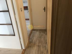 Pronájem bytu 1+1, Hradec Králové, V Lipkách, 49 m2
