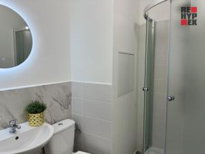 Pronájem bytu 1+kk, Pardubice - Ohrazenice, Trnovská, 33 m2