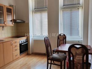 Pronájem bytu 2+1, České Budějovice, Riegrova, 60 m2