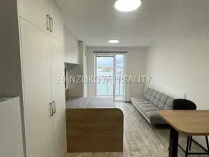 Pronájem bytu 1+kk, České Budějovice - České Budějovice 3, Jírovcova, 30 m2