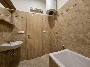 Pronájem bytu 1+kk, Brno, Cejl, 25 m2