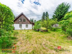 Prodej chalupy, Těchonín, 169 m2