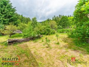 Prodej chalupy, Těchonín, 117 m2