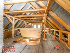 Prodej chalupy, Těchonín, 117 m2