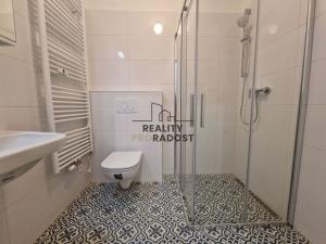 Pronájem bytu 1+kk, Brno, Antonínská, 45 m2