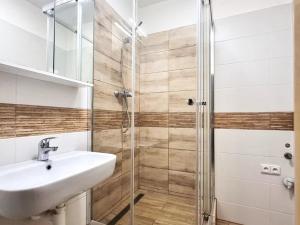 Pronájem bytu 1+1, Olomouc - Nová Ulice, Růženy Svobodové, 36 m2