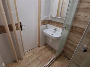 Pronájem bytu 1+1, Olomouc - Nová Ulice, Růženy Svobodové, 36 m2