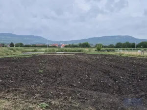 Prodej pozemku pro bydlení, Dolní Dunajovice, Pálavská, 631 m2
