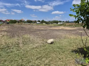 Prodej pozemku pro bydlení, Dolní Dunajovice, Pálavská, 631 m2