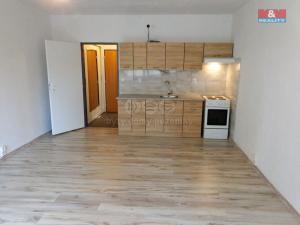 Pronájem bytu 1+kk, Orlová - Lutyně, F. S. Tůmy, 33 m2